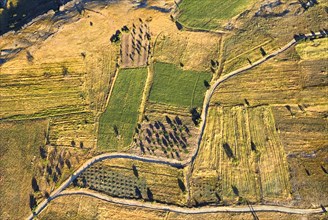 Aerial view over landscape and field patterns and branching road from hot air balloon. Photo : Hugh
