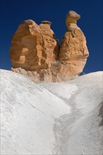 The Camel rock formation in Devrent Valley also known as Imaginery Valley or Pink Valley. Photo :