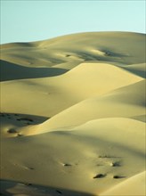 Saudi Arabia, General, Desert landscape with sand dunes. 
Photo : Robin Constable