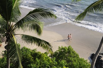 Mexico, Guerrero, Zihuatanejo, View through palm trees onto Playa la Ropa sandy beach. 
Photo :