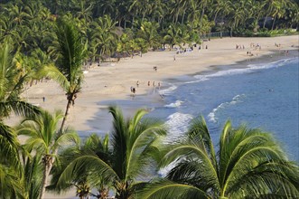 Mexico, Guerrero, Zihuatanejo, View over lush green palm trees onto Playa la Ropa sandy beach.