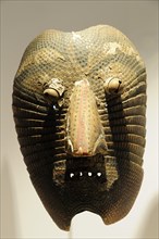 Mexico, Bajio, Zacatecas, Mask made from an armadillo shell in the Museo Rafael Coronel. 
Photo :