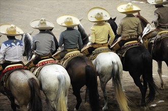 Mexico, Bajio, Zacatecas, Traditional horsemen or Charros standing mounted in line watching the