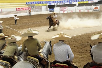 Mexico, Bajio, Zacatecas, Traditional horsemen or Charros competing in Mexican rodeo. 
Photo :