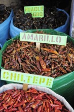 Mexico, Oaxaca, Dried chillies for sale in the market. 
Photo : Nick Bonetti