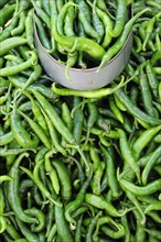 Mexico, Veracruz, Papantla, Green chillies for sale in the market. 
Photo : Nick Bonetti