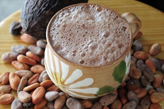 Mexico, Oaxaca, Chocolate caliente hot chocolate in painted cup with cocoa beans and pod. 
Photo :