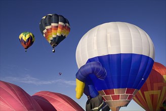 USA, New Mexico, Albuquerque, Annual balloon fiesta colourful hot air balloons ascending. 
Photo :