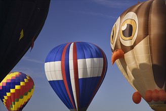USA, New Mexico, Albuquerque, Annual balloon fiesta colourful hot air balloons in flight with owl