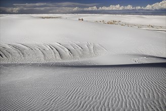 USA, New Mexico, Otero County, White Sands National Monunment. Landscape of white wind rippled sand