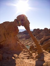 USA, Nevada, Valley of Fire State Park, Elephant shape rock formation. 
Photo : Hugh Rooney