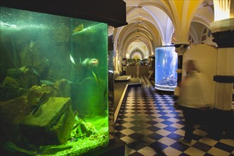 England, East Sussex, Brighton, Interior of the Sea Life Centre underground Aquarium on the