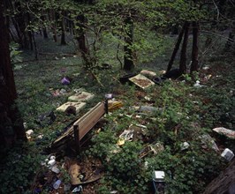 Wales, Gwynedd, Environment, Discarded household and general rubbish dumped in roadside bluebell