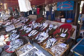 Turkey, Istanbul, Karakoy Galata fish market display of fresh catch. 
Photo : Stephen Rafferty