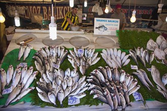 Turkey, Istanbul, Karakoy Galata fish market display of fresh catch. 
Photo : Stephen Rafferty
