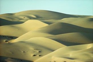 Saudi Arabia, Desert, Landscape with sand dunes. 
Photo : Robin Constable