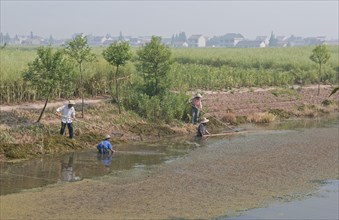 China, Jiangsu, Qidong, Farmers clearing aquatic vegetation from a choked irrigation canal with
