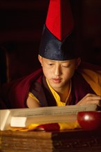 Young Buddhist lama chanting from scrolls, Sikkim, India