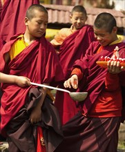 Buddhist Monks in a Losar ceremony, Sikkim, India