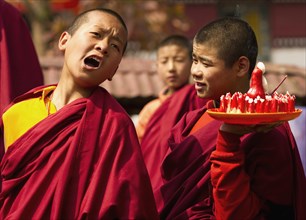 Buddhist Monks in a Losar ceremony, Sikkim, India