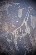 Namibia, Kunene Region, Twfelfontein, Bushmen carvings are one of the most important archeological