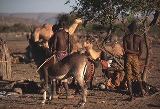 Namibia, North, People, Himba man with rifle riding donkey. 
Photo : Adrian Arbib