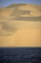 Namibia, Namib, Naukluft Desert, Sand dunes of the Langevaan a 1000 foot high wall of sand where