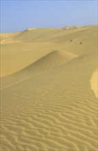 Namibia, Namib, Naukluft Desert, Sand dunes in the De Beers Diamond mining area. 
Photo : Adrian