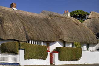 Ireland, County Waterford, Dunmore East, Traditional thatched cottage. 
Photo : Hugh Rooney