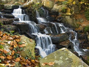 England, Surrey, Virginia Water, Waterfall in autumn. 
Photo : Chris Penn