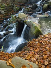 England, Surrey, Virginia Water, Waterfall in autumn. 
Photo : Chris Penn