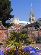 Chichester Cathedral from Bishops Gardens