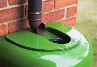 Plastic water butt collecting rain water from drainpipe
