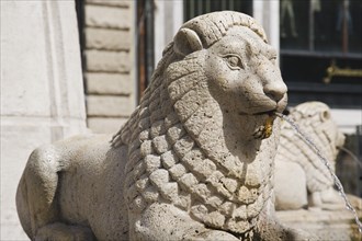 Lion fountain in central Pest.