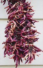 Drying chilis in central Pest.