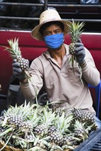 Thai worker in mask against pollution packing Pineapple in Chinatown market.