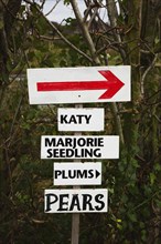Pick Your Own signs pointing the way to rows containing different varietes of tree in Grange Farm.