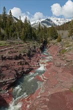 Red Rock Canyon at Waterton Lakes National Park. The red rock is argillite which contains oxidized iron Meltwater from a glacier runs through the canyon