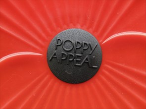 Detail of Poppy Appeal display.