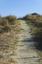 East Head Wooden pathway through sand dunes.