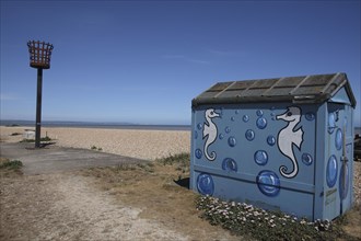 Beach Hut painted with Seahorse design and seafront torch beacon.