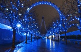 London Eye illuminated blue at night.