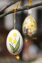 Hand-painted egg shells hanging from a branch to celebrate Easter at the Old Vienna Easter Market at the Freyung.
