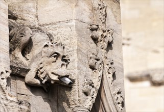 A decorative gargoyle used to drain water from a roof at Trinity College.