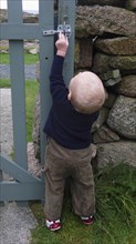 2 year old Oscar stretching to open the garden gate.