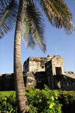Mexico, Veracruz, Baluarte de Santiago historic fort now site of museum with palm tree and