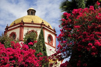 Mexico, Bajio, San Miguel de Allende, Dome of the Parroquia church with bright pink bougainvillea