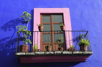 Mexico, Puebla, Colourful architectural detail of French window with pink painted frame set against