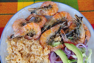 Mexico, Oaxaca, Huatulco, Gambas or prawns served on plate with sliced onion avocado tomato and