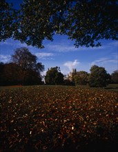 England, Cambridgeshire, Ely, View across meadow with trees in Autumn colours towards exterior of
